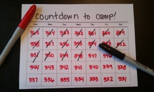 Image Description: A blank calendar with the title “countdown to camp!” has a number in red beginning with 365 to 331. The numbers are in red, days 365-348 are crossed off with black ink. A red sharpie is on the right side of the calendar while a black sharpie is horizontally placed on the right side, covering some of the numbers.